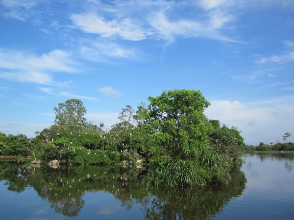 đảo cò Chi Lăng