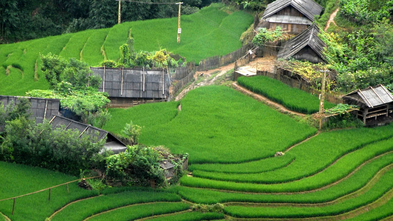 Sa Pa