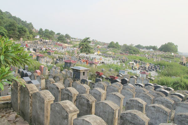 Rừng nghĩa địa