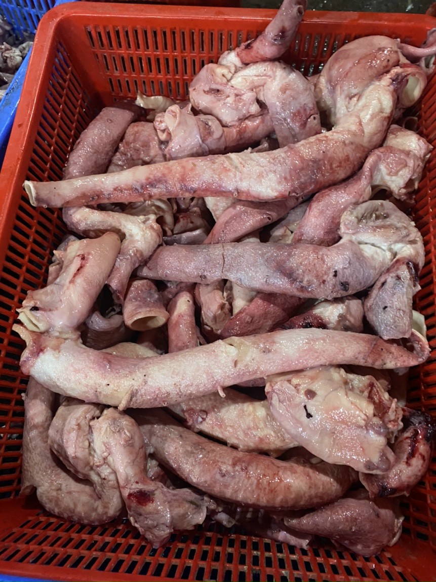 Cuống tim bò là gì?