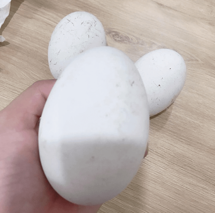 Lợi ích khi ăn trứng ngỗng bạn nên biết