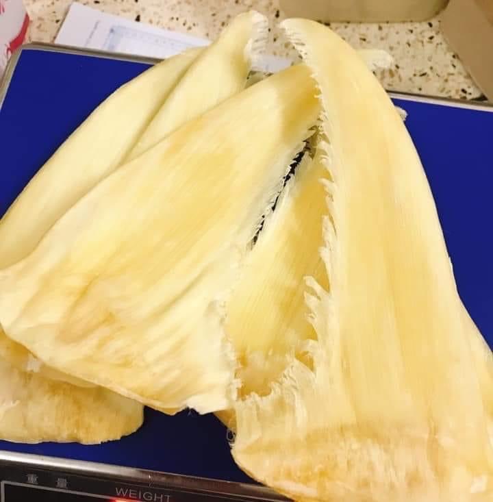 Vi cá nguyên vi chưa tách là gì?