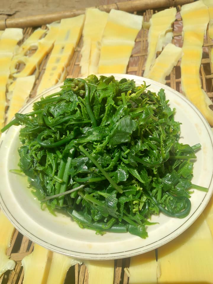 Rau Dớn luộc
