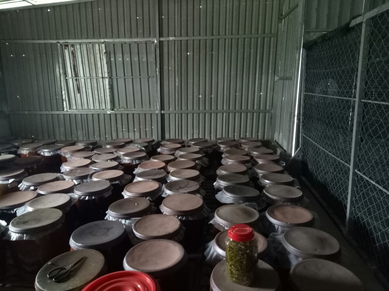 Hương vị của rượu bưởi