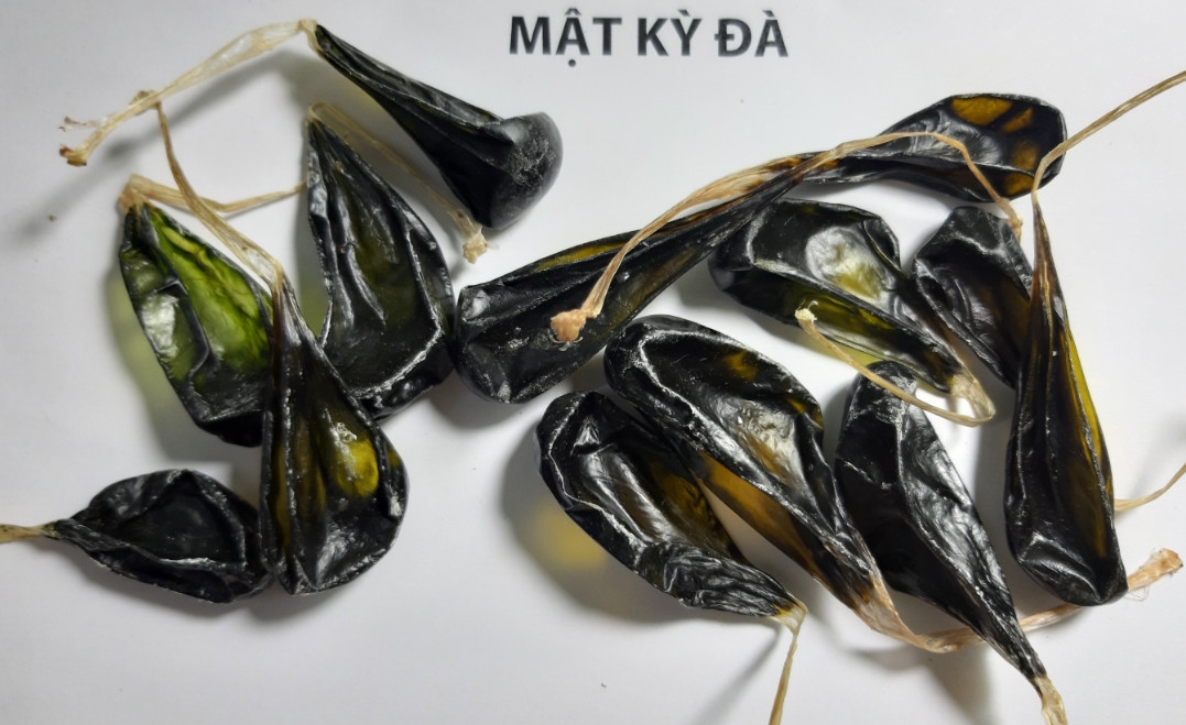 Tác dụng của mật kỳ đà trong y học