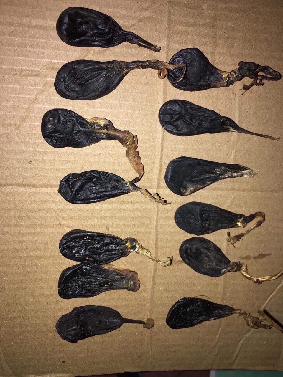 Một số bài thuốc từ Mật kỳ đà