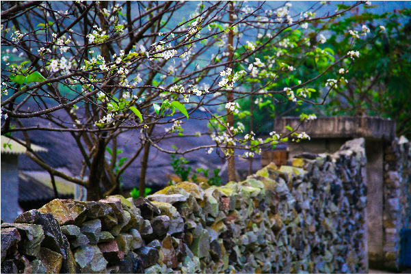 địa điểm phượt ở Hà Giang