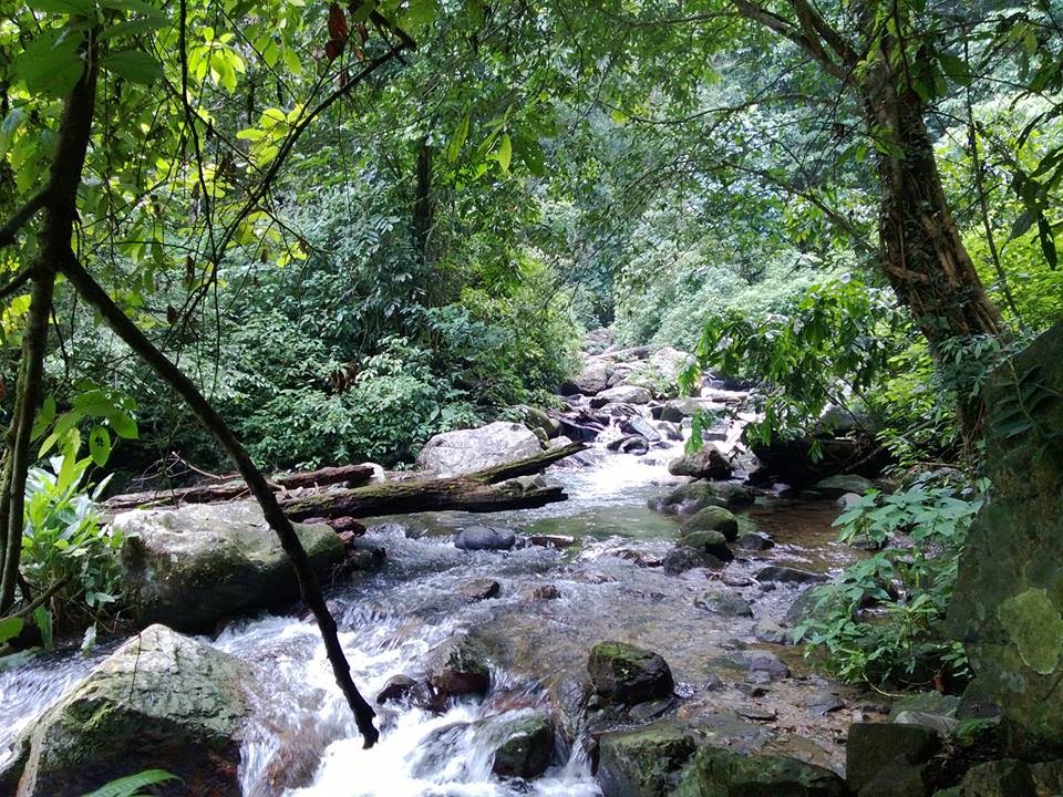 Du lịch Xuân Sơn vào thời gian nào?