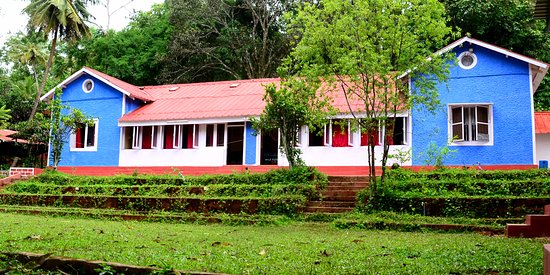 Wild Flower Homestay