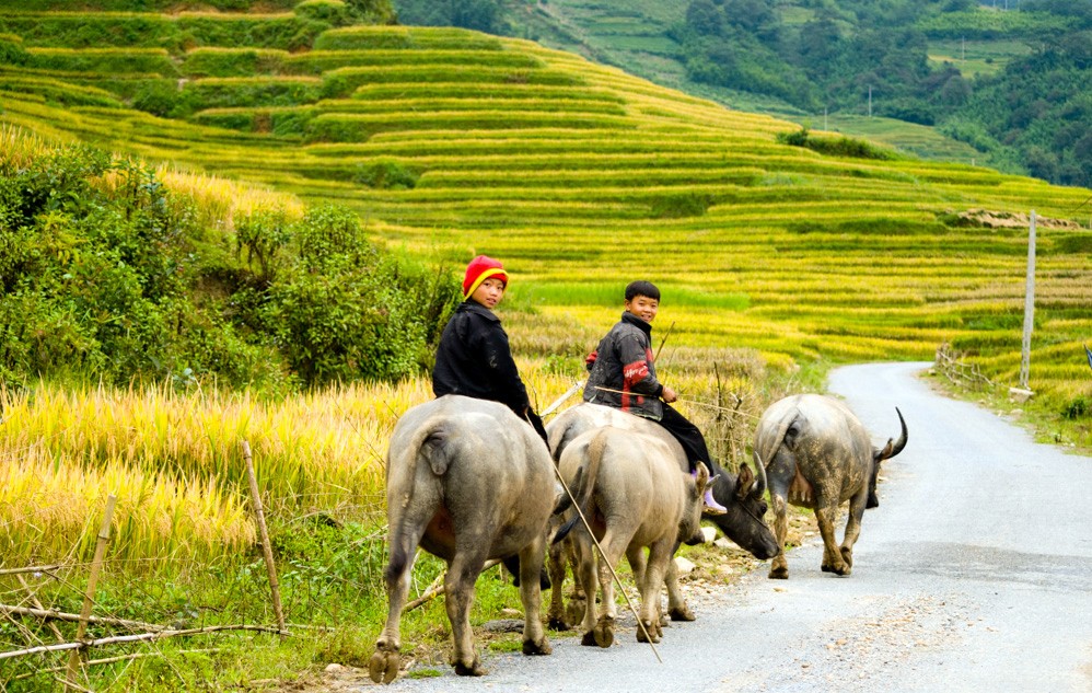 Cuộc sống thường ngày của người dân Sapa