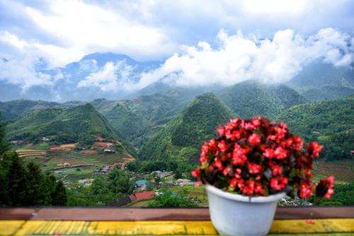 Hoa’s homestay Hoa’s homestay