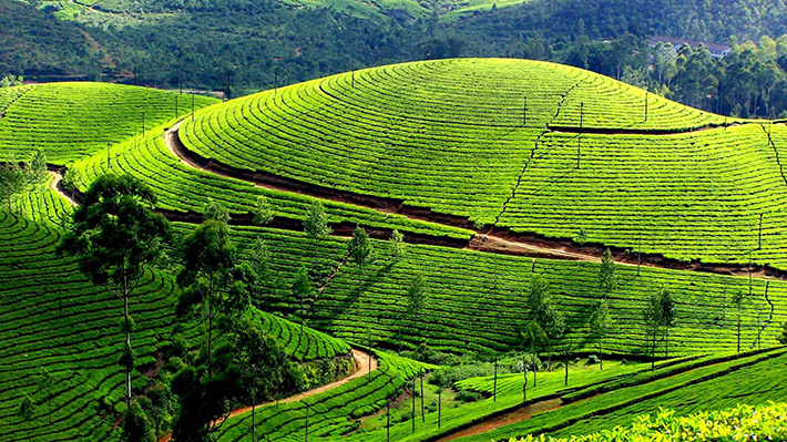 điểm du lịch ở sơn la điểm du lịch ở sơn la