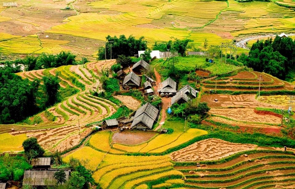  những thửa ruộng bậc thang